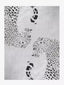 Jaguar luxury large rugs for living room - Houseoon