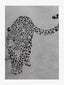 Leopard Luxury Animal Rug - Houseoon