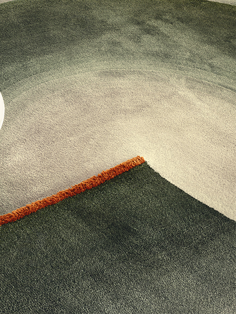 Hand-tufted Indoor Area Rug