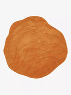 Barsen Tufted Modern  Rug