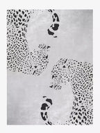 Jaguar luxury large rugs for living room