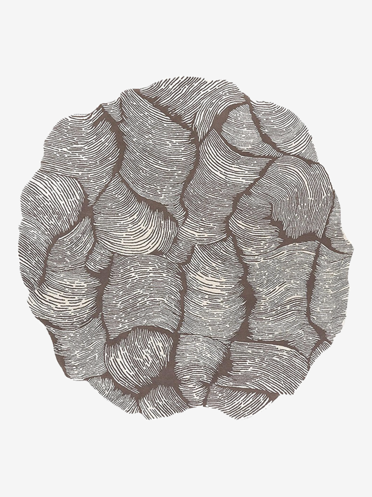 Linoce Abstract Irregular Shaped Rugs Main image