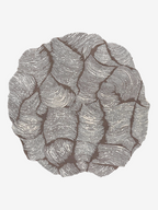 Linoce Abstract Irregular Shaped Rugs