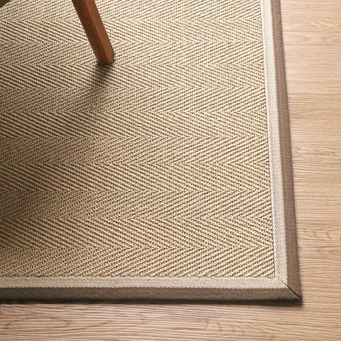 Sisal with Border Area Rug