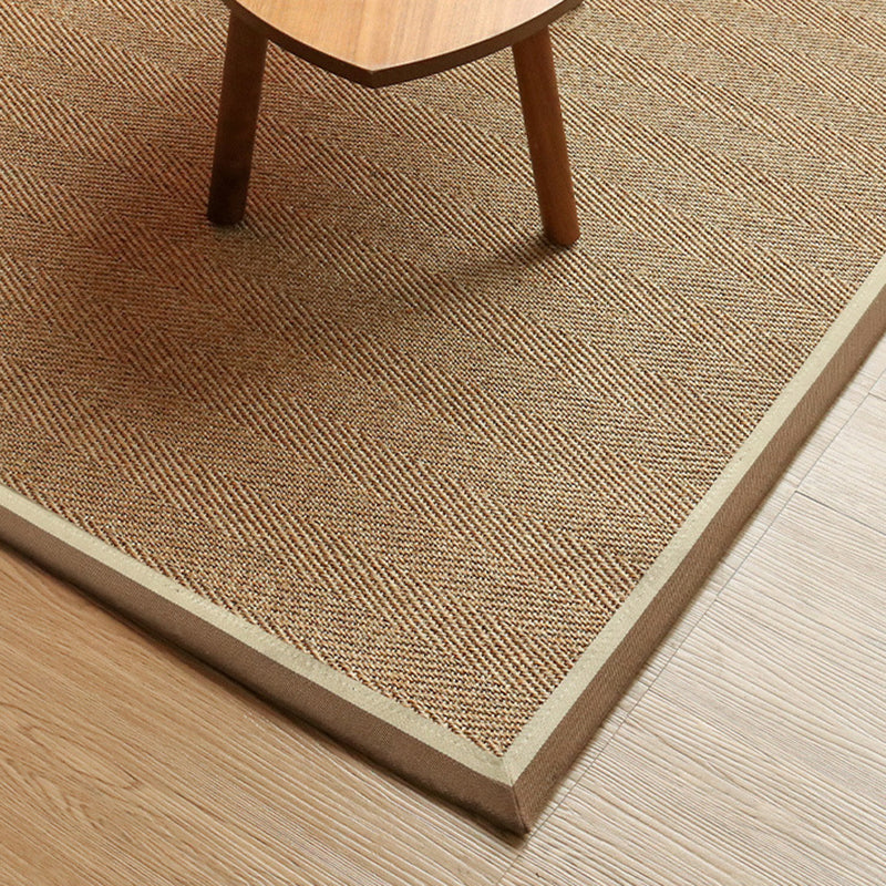 Large Natural Sisal area rug