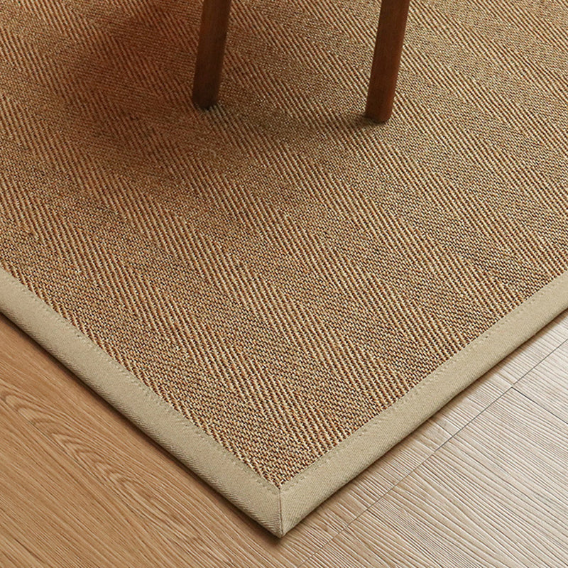 Large Natural Sisal area rug