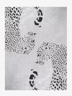 Jaguar luxury large rugs for living room - Houseoon