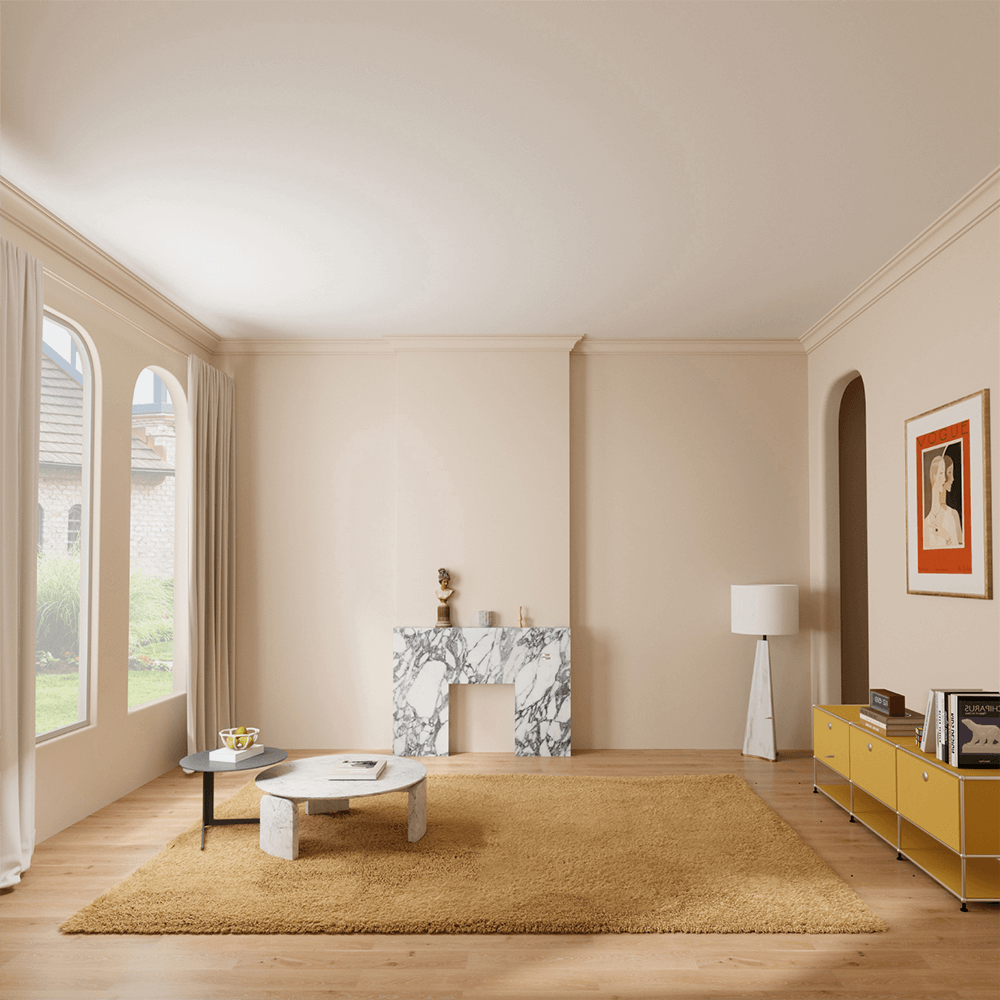 Modern Design Shag  Area Rug