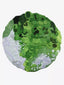 Oasis irregular Shaped Green Rug - Houseoon